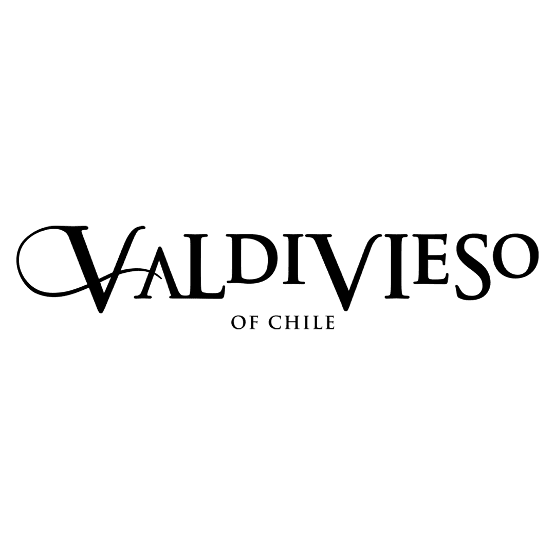Logo de Viña Valdivieso - cliente de JURMAQ